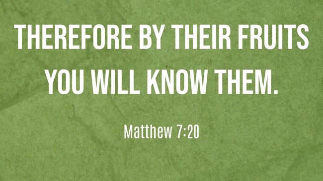 Therefore by their fruits you will know them. - Matthew 7:20