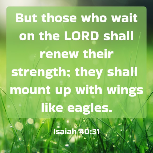 But those who wait on the LORD shall renew their strength; they shall mount up with wings like eagles. - Isaiah 40:31