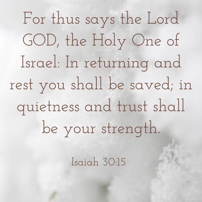 For thus says the Lord GOD, the Holy One of Israel: In returning and rest you shall be saved; in quietness and trust shall be your strength. - Isaiah 30:15