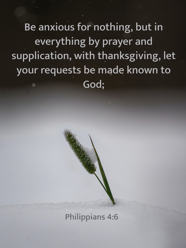 Be anxious for nothing, but in everything by prayer and supplication, with thanksgiving, let your requests be made known to God; - Philippians 4:6