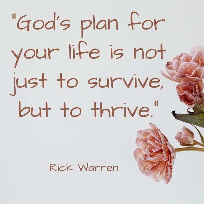 God’s plan for your life is not just to survive, but to thrive. - Rick Warren