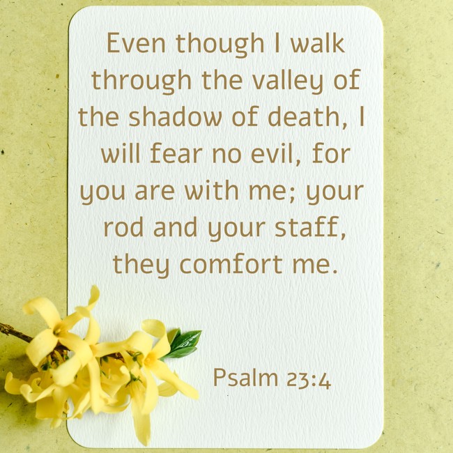 Even though I walk through the valley of the shadow of death, I will fear no evil, for you are with me; your rod and your staff, they comfort me. - Psalm 23:4