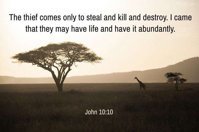 The thief comes only to steal and kill and destroy. I came that they may have life and have it abundantly. - John 10:10