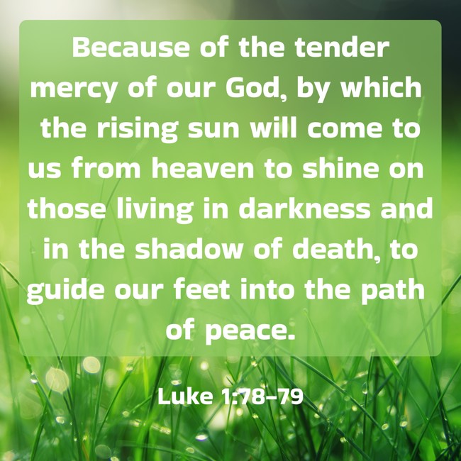 Because of the tender mercy of our God, by which the rising sun will come to us from heaven to shine on those living in darkness and in the shadow of death, to guide our feet into the path of peace. - Luke 1:78-79