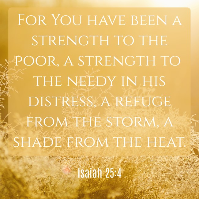 For You have been a strength to the poor, a strength to the needy in his distress, a refuge from the storm, a shade from the heat. - Isaiah 25:4