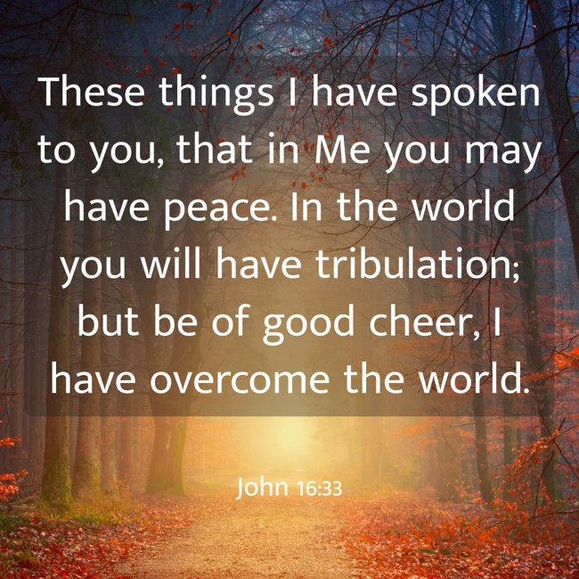 These things I have spoken to you, that in Me you may have peace. In the world you will have tribulation; but be of good cheer, I have overcome the world. - John 16:33