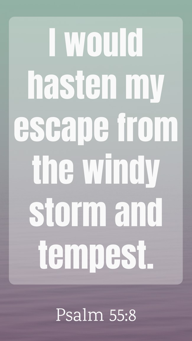 I would hasten my escape from the windy storm and tempest. - Psalm 55:8