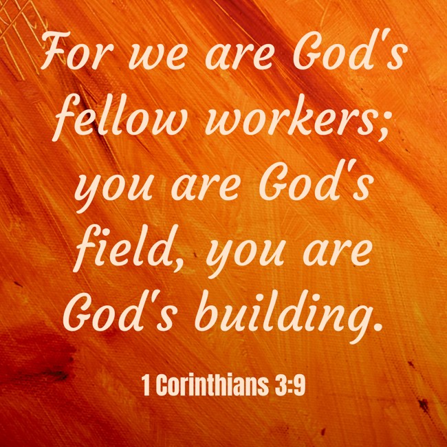 For we are God's fellow workers; you are God's field, you are God's building. - 1 Corinthians 3:9