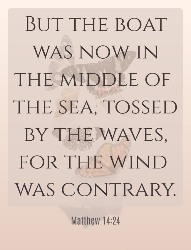 But the boat was now in the middle of the sea, tossed by the waves, for the wind was contrary. - Matthew 14:24