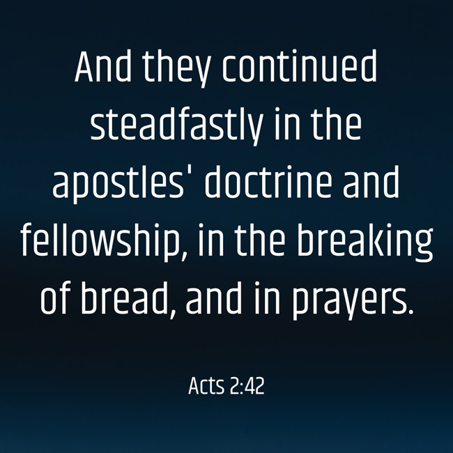And they continued steadfastly in the apostles' doctrine and fellowship, in the breaking of bread, and in prayers. - Acts 2:42