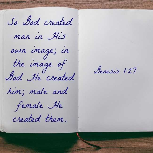 So God created man in His own image; in the image of God He created him; male and female He created them. - Genesis 1:27