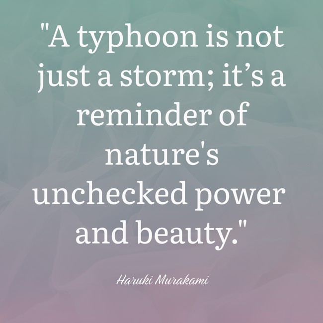 A typhoon is not just a storm; it’s a reminder of nature's unchecked power and beauty. - Haruki Murakami