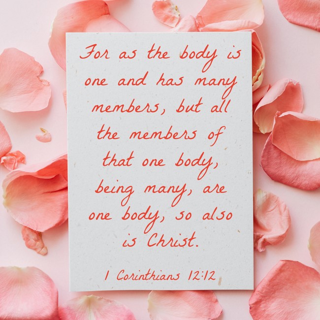For as the body is one and has many members, but all the members of that one body, being many, are one body, so also is Christ. - 1 Corinthians 12:12