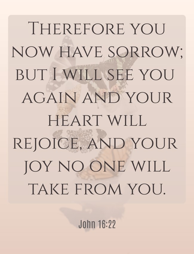 Therefore you now have sorrow; but I will see you again and your heart will rejoice, and your joy no one will take from you. - John 16:22