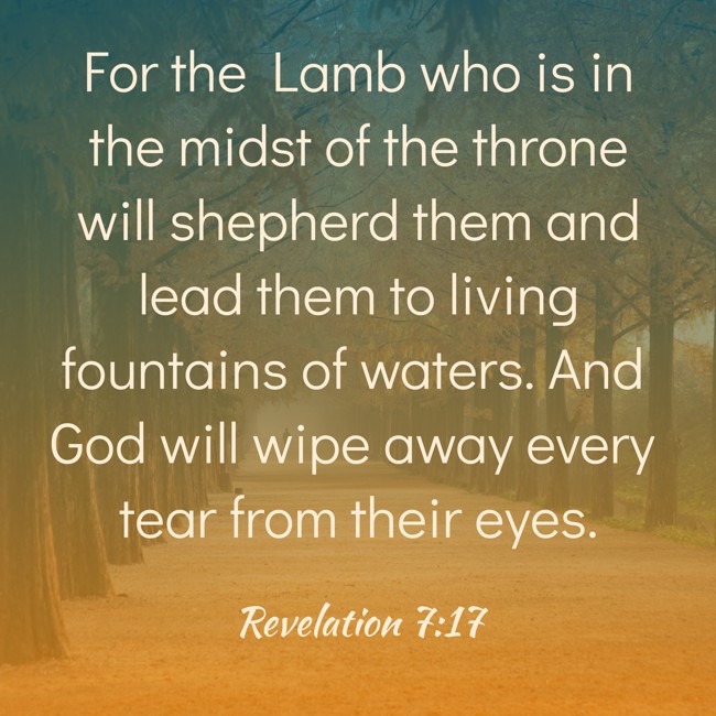 For the Lamb who is in the midst of the throne will shepherd them and lead them to living fountains of waters. And God will wipe away every tear from their eyes. - Revelation 7:17