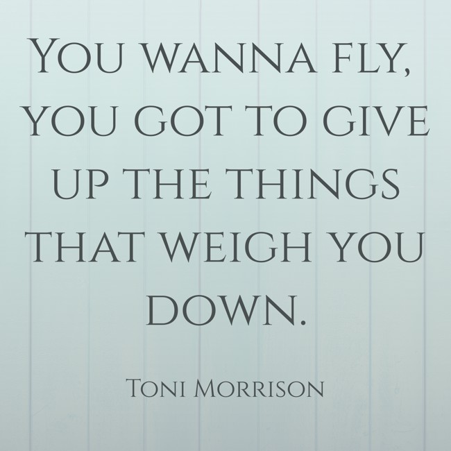 You wanna fly, you got to give up the things that weigh you down. - Toni Morrison