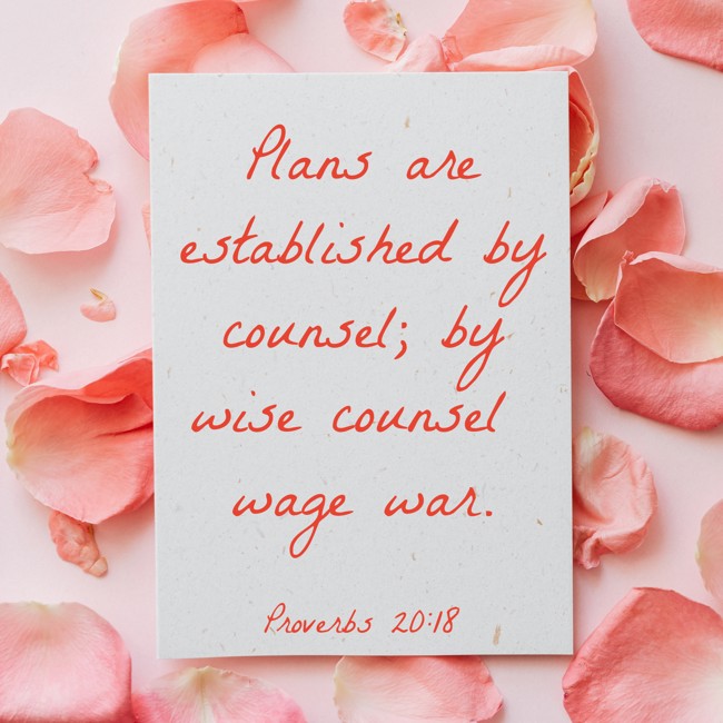 Plans are established by counsel; by wise counsel wage war. - Proverbs 20:18