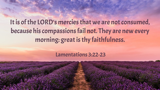 It is of the LORD's mercies that we are not consumed, because his compassions fail not. They are new every morning: great is thy faithfulness. - Lamentations 3:22-23