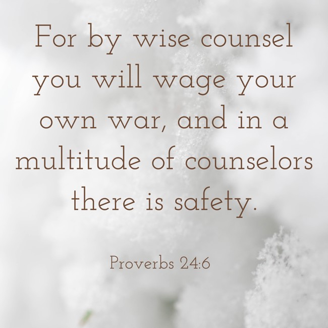 For by wise counsel you will wage your own war, and in a multitude of counselors there is safety. - Proverbs 24:6