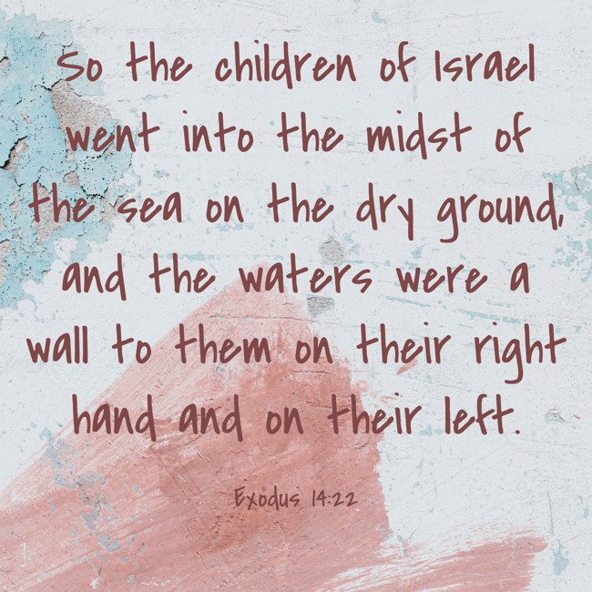 So the children of Israel went into the midst of the sea on the dry ground, and the waters were a wall to them on their right hand and on their left. - Exodus 14:22