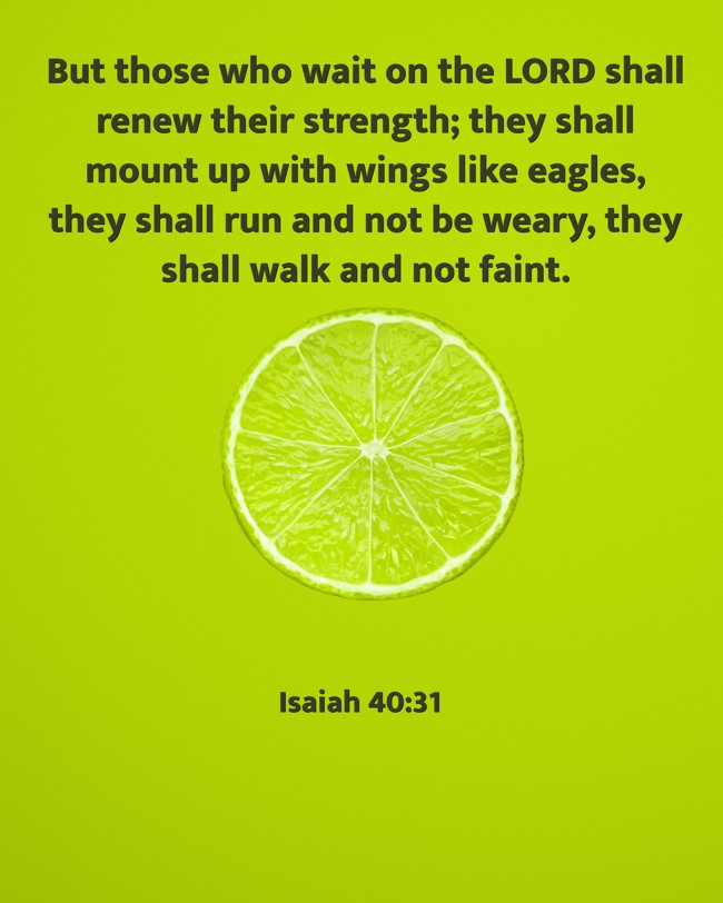 But those who wait on the LORD shall renew their strength; they shall mount up with wings like eagles, they shall run and not be weary, they shall walk and not faint. - Isaiah 40:31