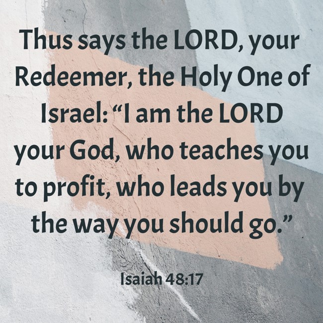 Thus says the LORD, your Redeemer, the Holy One of Israel: “I am the LORD your God, who teaches you to profit, who leads you by the way you should go.” - Isaiah 48:17