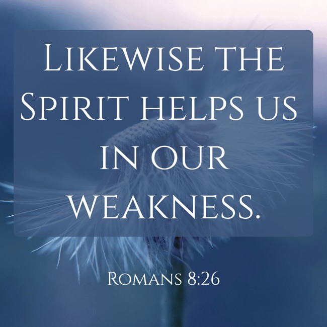 Likewise the Spirit helps us in our weakness. - Romans 8:26
