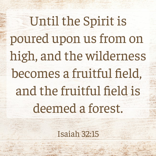 Until the Spirit is poured upon us from on high, and the wilderness becomes a fruitful field, and the fruitful field is deemed a forest. - Isaiah 32:15