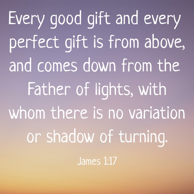 Every good gift and every perfect gift is from above, and comes down from the Father of lights, with whom there is no variation or shadow of turning. - James 1:17