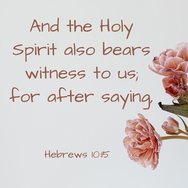 And the Holy Spirit also bears witness to us; for after saying, - Hebrews 10:15