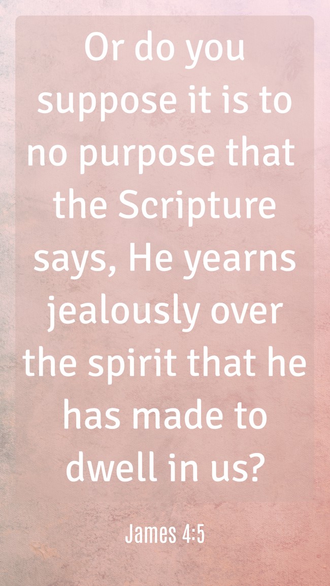 Or do you suppose it is to no purpose that the Scripture says, He yearns jealously over the spirit that he has made to dwell in us? - James 4:5