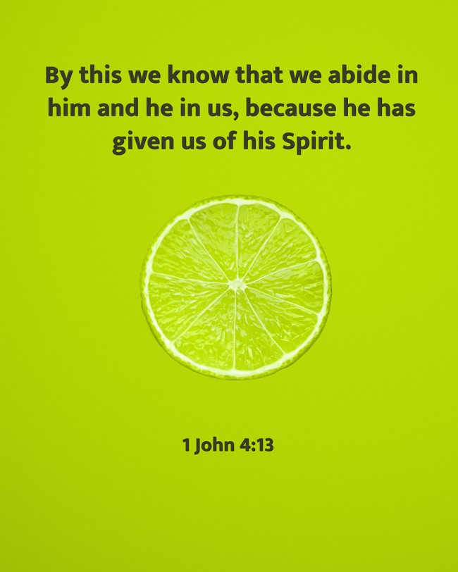By this we know that we abide in him and he in us, because he has given us of his Spirit. - 1 John 4:13