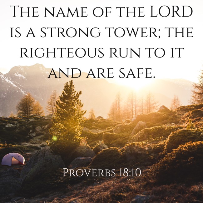 The name of the LORD is a strong tower; the righteous run to it and are safe. - Proverbs 18:10