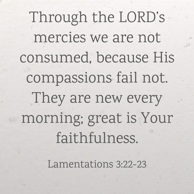 Through the LORD’s mercies we are not consumed, because His compassions fail not. They are new every morning; great is Your faithfulness. - Lamentations 3:22-23