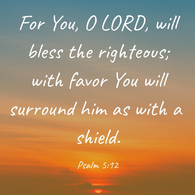 For You, O LORD, will bless the righteous; with favor You will surround him as with a shield. - Psalm 5:12