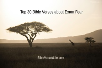 Top 30 Bible Verses about Exam Fear
