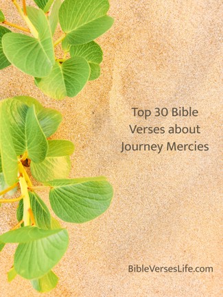 Top 30 Bible Verses about Journey Mercies