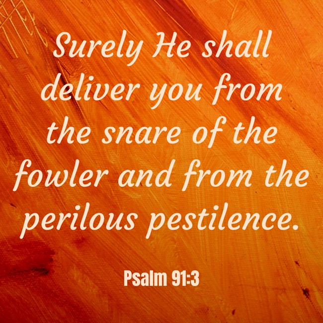Surely He shall deliver you from the snare of the fowler and from the perilous pestilence. - Psalm 91:3