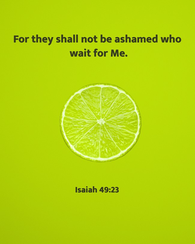 For they shall not be ashamed who wait for Me. - Isaiah 49:23