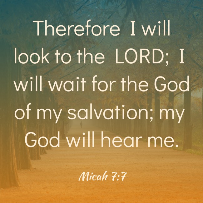 Therefore I will look to the LORD; I will wait for the God of my salvation; my God will hear me. - Micah 7:7