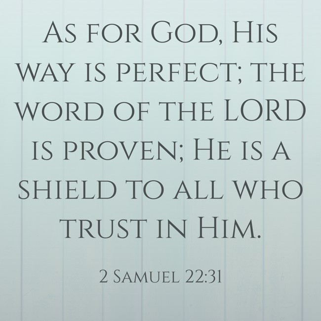 As for God, His way is perfect; the word of the LORD is proven; He is a shield to all who trust in Him. - 2 Samuel 22:31