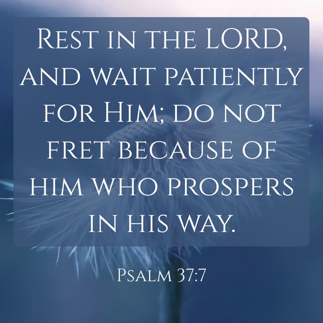 Rest in the LORD, and wait patiently for Him; do not fret because of him who prospers in his way. - Psalm 37:7