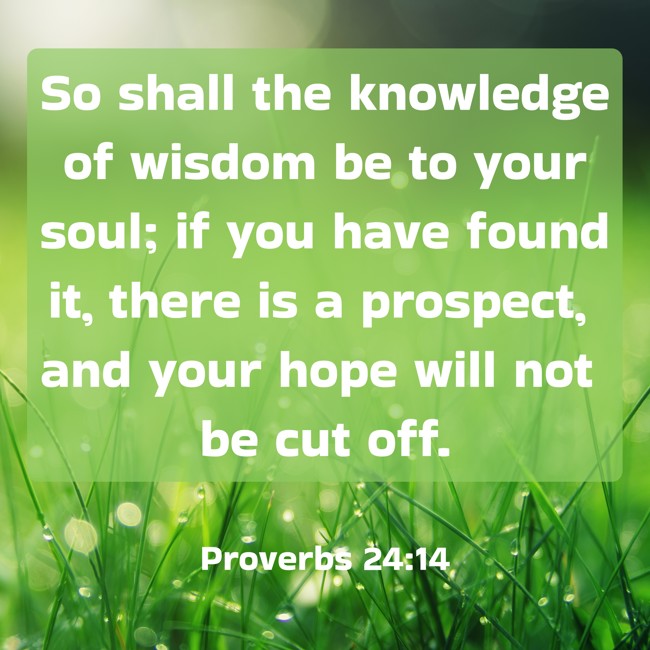 So shall the knowledge of wisdom be to your soul; if you have found it, there is a prospect, and your hope will not be cut off. - Proverbs 24:14