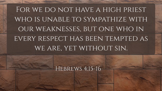 For we do not have a high priest who is unable to sympathize with our weaknesses, but one who in every respect has been tempted as we are, yet without sin. - Hebrews 4:15-16