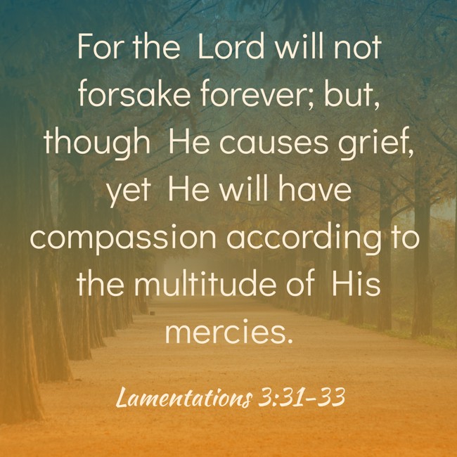 For the Lord will not forsake forever; but, though He causes grief, yet He will have compassion according to the multitude of His mercies. - Lamentations 3:31-33