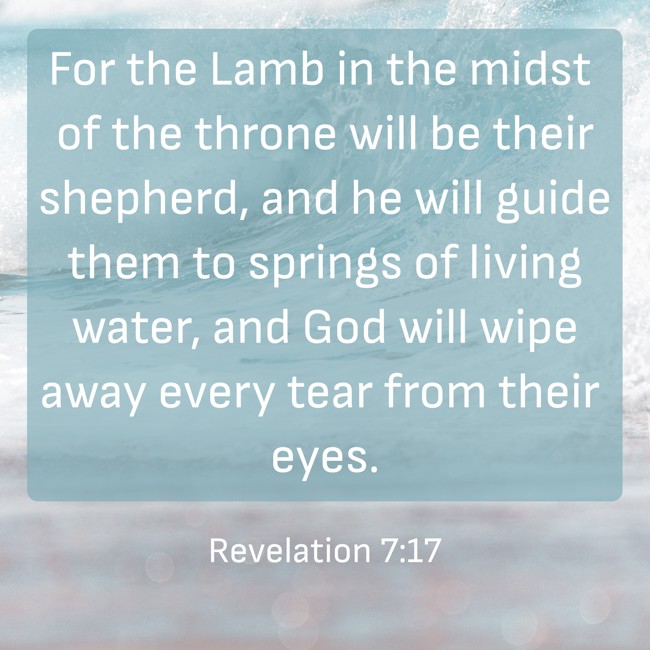 For the Lamb in the midst of the throne will be their shepherd, and he will guide them to springs of living water, and God will wipe away every tear from their eyes. - Revelation 7:17