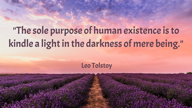 The sole purpose of human existence is to kindle a light in the darkness of mere being. - Leo Tolstoy