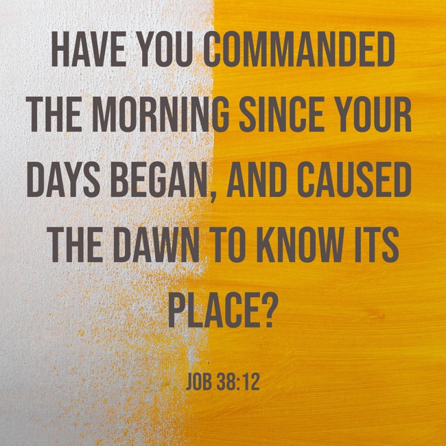 Have you commanded the morning since your days began, and caused the dawn to know its place? - Job 38:12