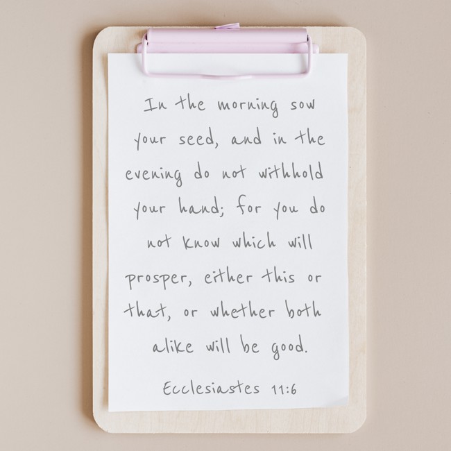 In the morning sow your seed, and in the evening do not withhold your hand; for you do not know which will prosper, either this or that, or whether both alike will be good. - Ecclesiastes 11:6