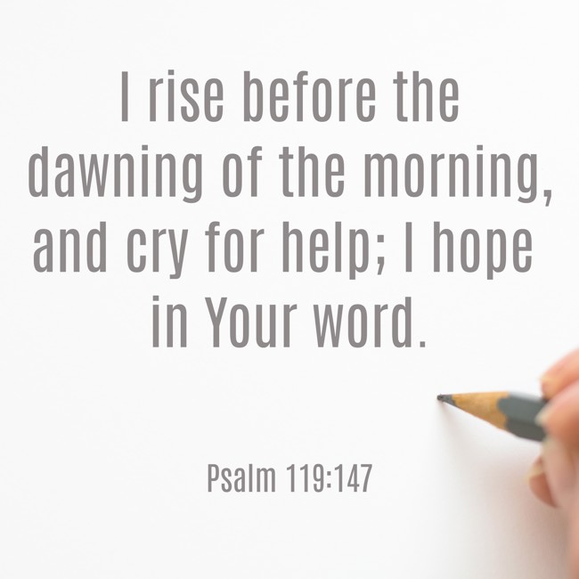 I rise before the dawning of the morning, and cry for help; I hope in Your word. - Psalm 119:147